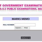 Manabadi 10th results 2024 - 2025 | BSe Telangana gov in SSC Results