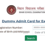 BSE Dummy Admit CArd - BSEB Dummy Registration Card