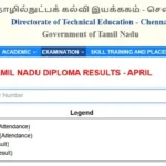 Tamil Nadu TNDTE Diploma Result 2025 - 2026 - dte.tn.gov.in