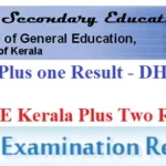 DHSE Kerala Plus Two Result 2025 - Kerala 12th Result at keralalresults-nic-in