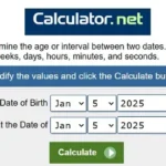 Date Of Birth Calculator - DOB Calculator - DOB AGE Calculator