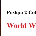 Pushpa 2 Collection World wide