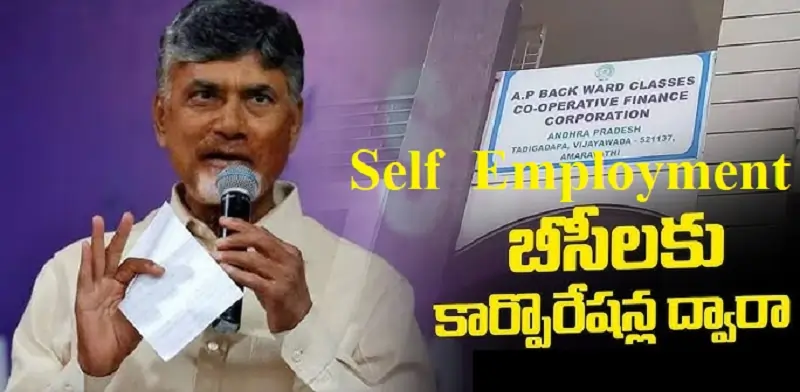 Self Employment Loan - Subsidy Loans In Andhra Pradesh